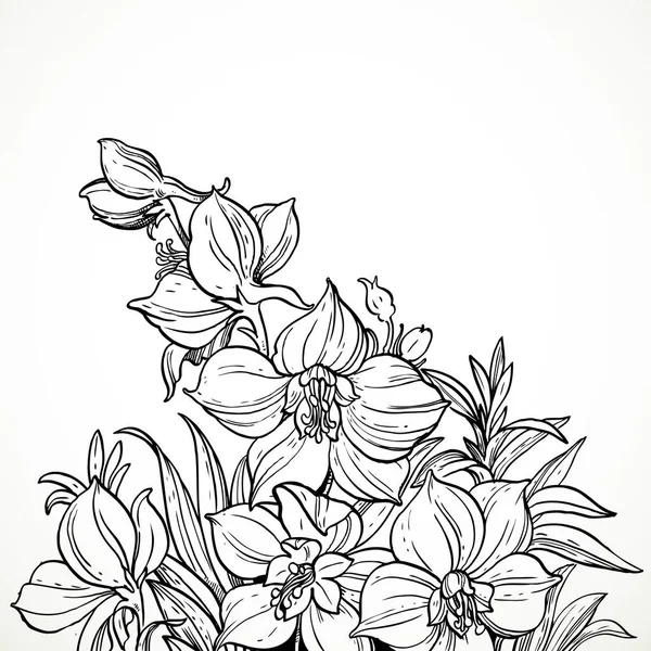 Чорно Біла Графічна Лінія Квітів Поля Тексту Вгорі Малюнка Білому — стоковий вектор