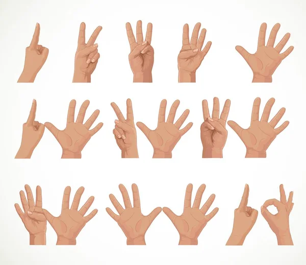 Figuren Aus Den Fingern Zahlen Von Eins Bis Zehn Isoliert — Stockvektor