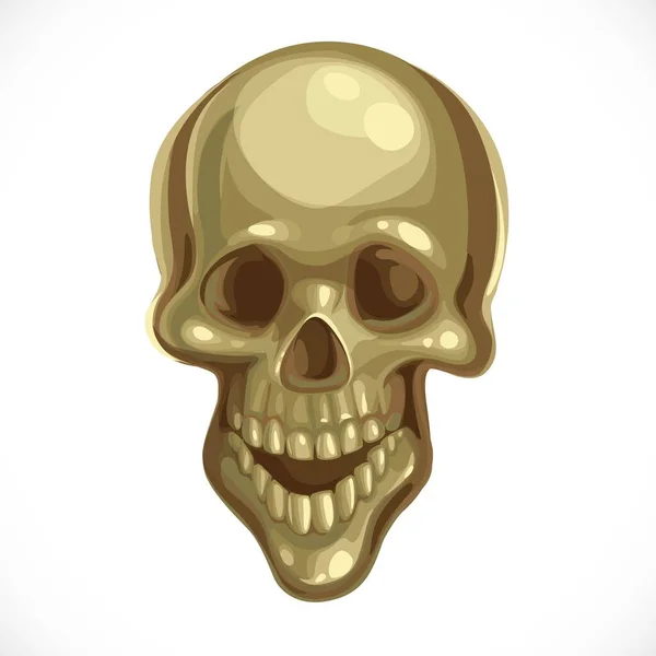 Crâne Antique Bronze Terrible Isolé Sur Fond Blanc — Image vectorielle