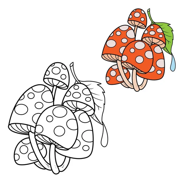 Poisonous Fly Agaric Covered Green Leaf Drop Dew Color Outlined — Stock Vector
