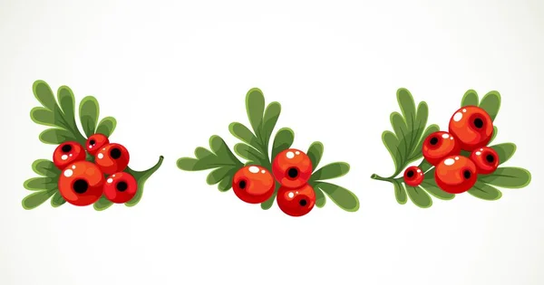 Christmas Red Berries Green Leaves Branches Object Isolated White Background — Stock Vector