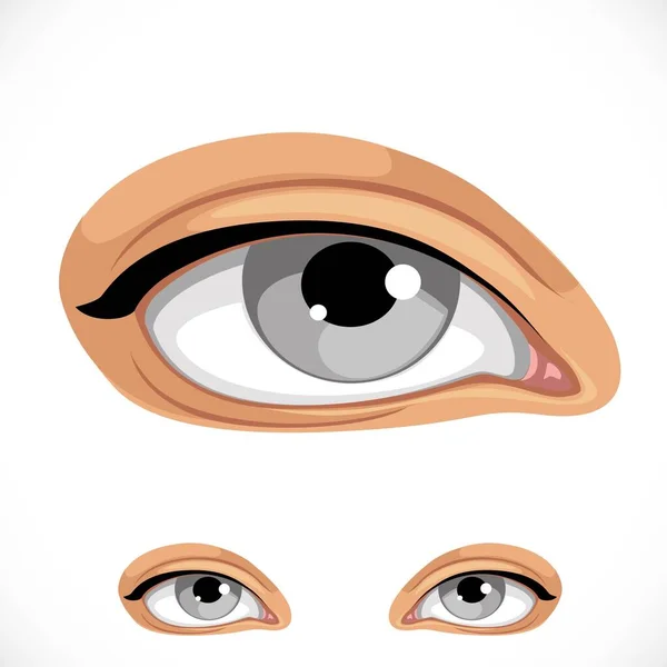 Realistic Human Eye Isolated White Background — Stock Vector