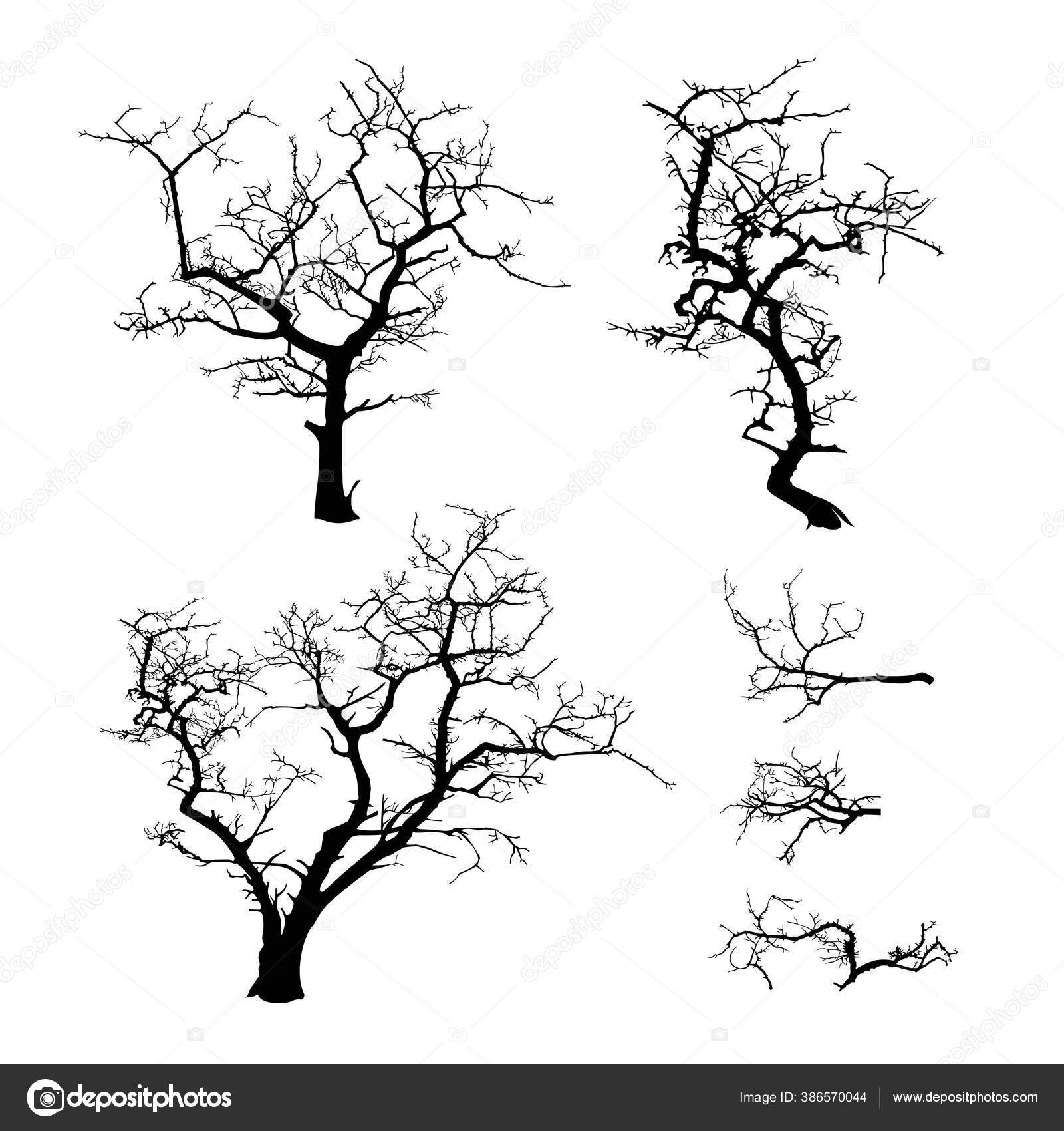 Set Siluet Hitam  Dari Gambar  Vektor Pohon Yang Mengerikan 