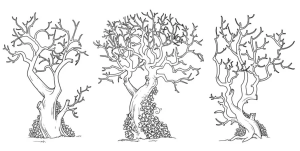 Arbres Effrayants Avec Des Feuilles Tordues Torsadées Avec Lierre Esquissé — Image vectorielle