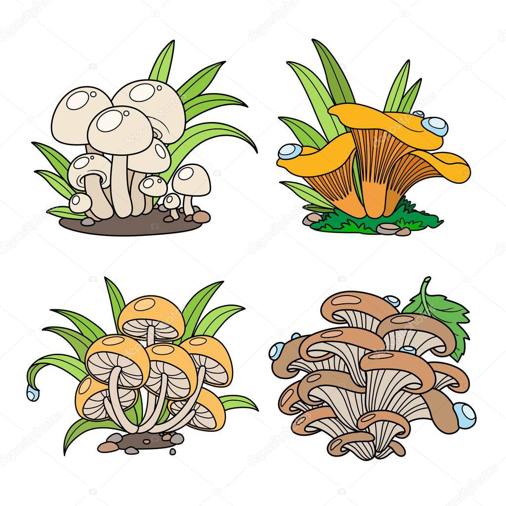 Edible mushrooms with a green grass color line art on white background