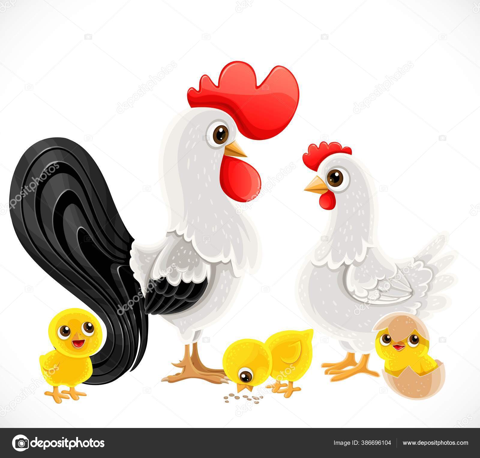 Galinha de desenho animado e família de pássaros de galo em estilo simples,  isolado no fundo branco