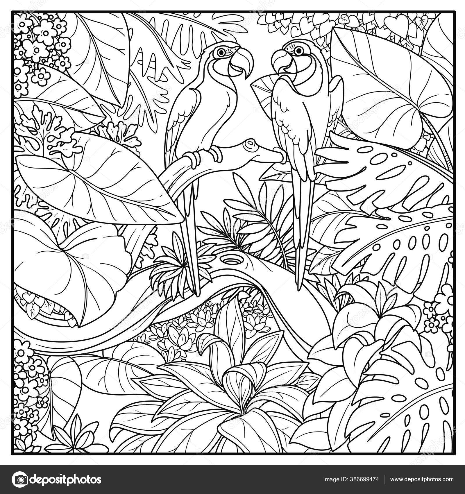 Rainforest Black And White Drawings