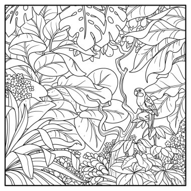 Kırmızı papağanlı vahşi orman beyaz arka planda siyah çizgi çiziyor.