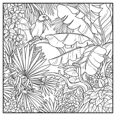 Kızılderili halkalı papağanı olan vahşi bir orman. Siyah bir hat üzerine tünemiş. Beyaz bir arkaplanı boyamak için çizilmiş.