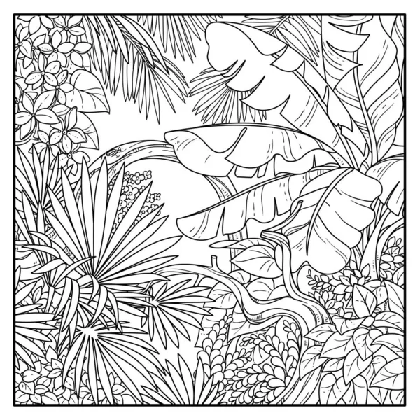 Jungle Sauvage Avec Grandes Feuilles Palmier Banane Dessin Ligne Contour — Image vectorielle