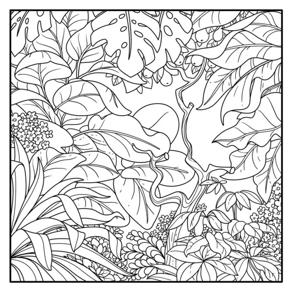 白い背景に着色するための野生のジャングルの黒い輪郭線の図面 — ストックベクタ