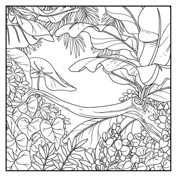 Jungle Avec Fleurs Orchidée Dessin Ligne Contour Noir Pour Coloration — Image vectorielle