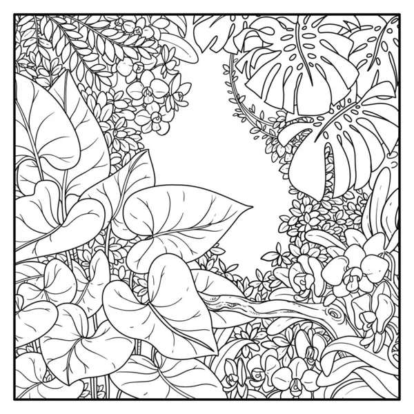 Selva Com Lianas Linha Contorno Preto Desenho Para Colorir Fundo — Vetor de Stock