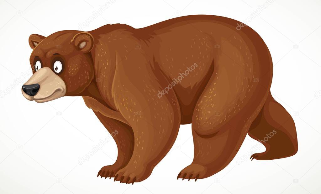 Cute cartoon bear stands on four legs isolated on white background