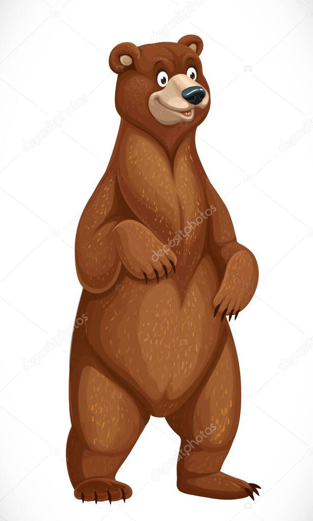 Cute cartoon bear stands on hind legs isolated on white background