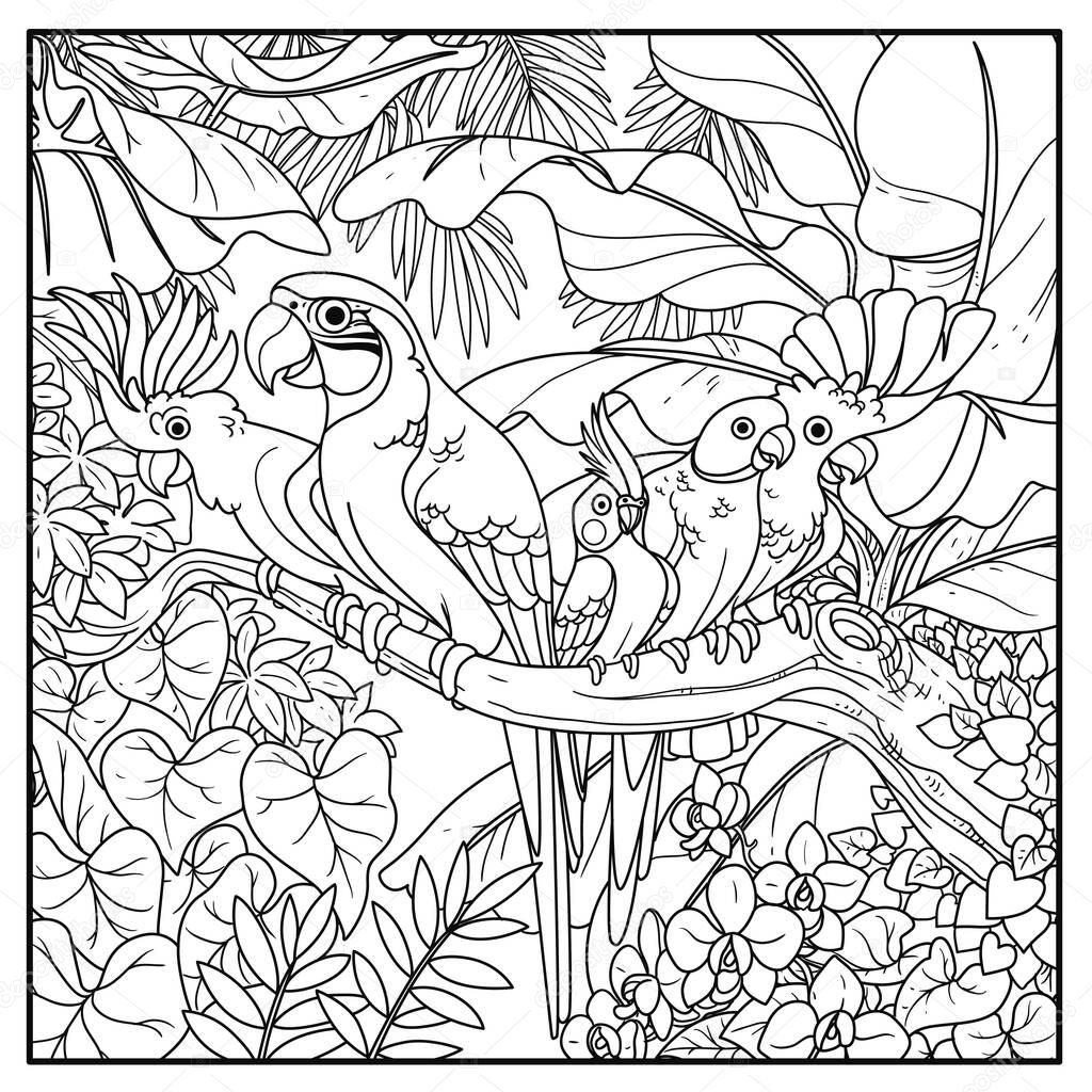 Cute parrots of different breeds sits on branch in wild jungle black contour line drawing for coloring on a white background