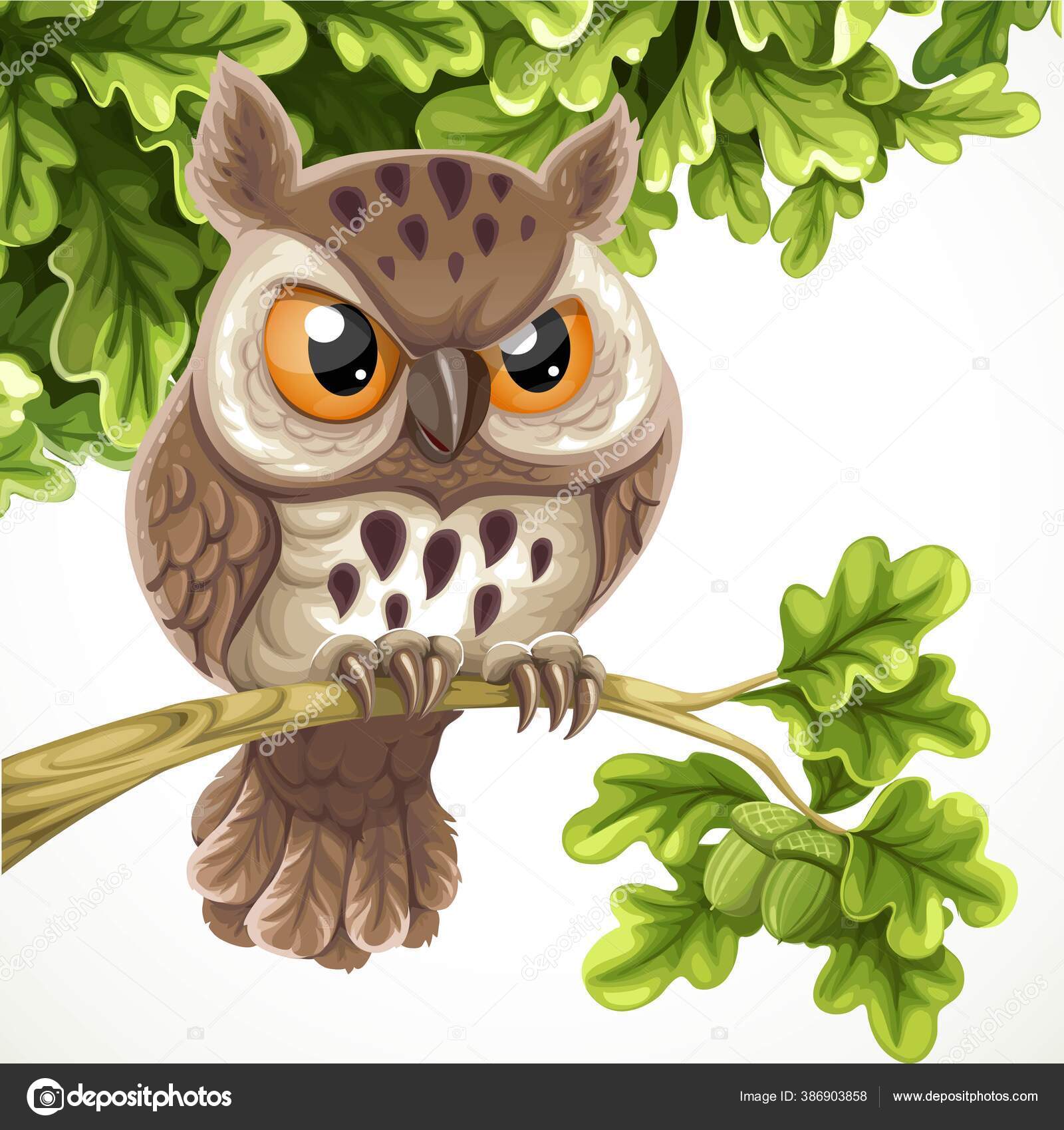 배경에 떨어져 나뭇잎 귀여운 올빼미 스톡 벡터 - ©yadviga 386903858, image size:1600x1699