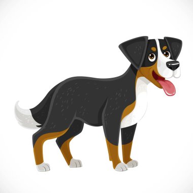 Tatlı çizgi film Büyük İsviçre Dağ Çoban Köpeği beyaz arka planda izole