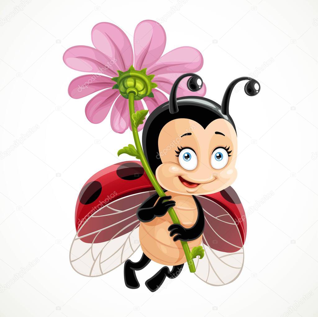 Cute cartoon ladybug fly with big pink flower on a white background