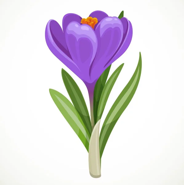 Beautiful Purple Vector Crocus Flower Isolated White Background — Stock Vector