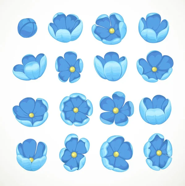 Blue Flowers Five Petals Different Turns Set Isolated White Background — Stock Vector