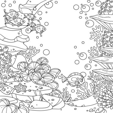 Taşlar, mercanlar, balıklar, algler ve beyaz arka planda izole edilmiş deniz şakayıkları olan su altı dünyası.