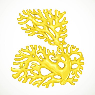 Büyük sarı asimetrik mercanlar beyaz arka planda izole edilmiş deniz canlısı nesneler.