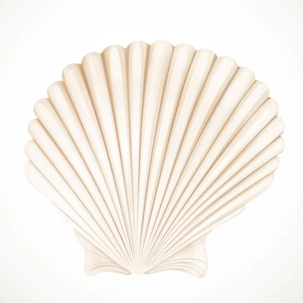 白い背景に隔離された現実的なベクトルの白い貝殻 — ストックベクタ