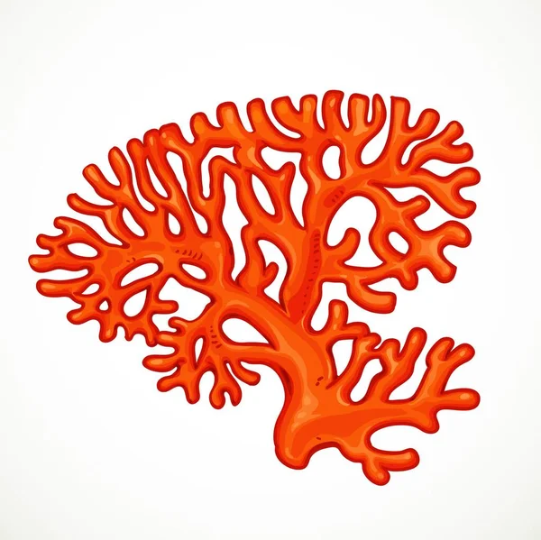 在白色背景上隔离的红珊瑚海洋生物 — 图库矢量图片