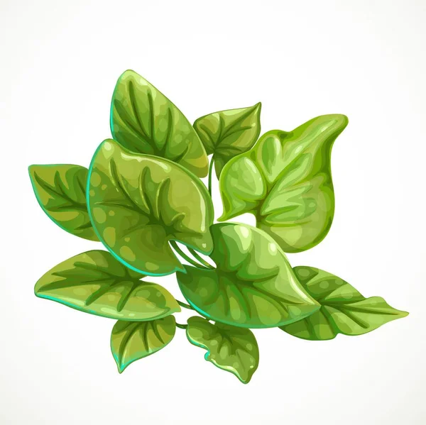 Θαλάσσια Πράσινα Φύκια Αντικείμενο Απομονωμένο Λευκό Φόντο — Διανυσματικό Αρχείο