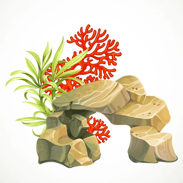 Stenen Met Zeewier Rood Koraal Deel Van Zeebodem Voor Aquariumdecoratie — Stockvector