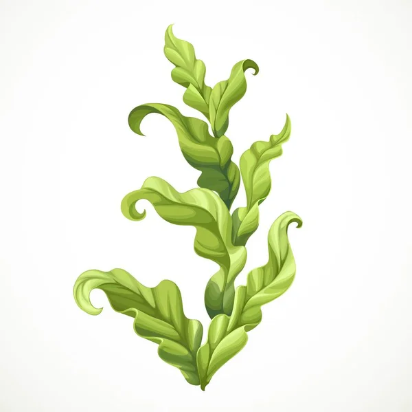 Grüne Üppige Algen Objekt Isoliert Auf Weißem Hintergrund — Stockvektor