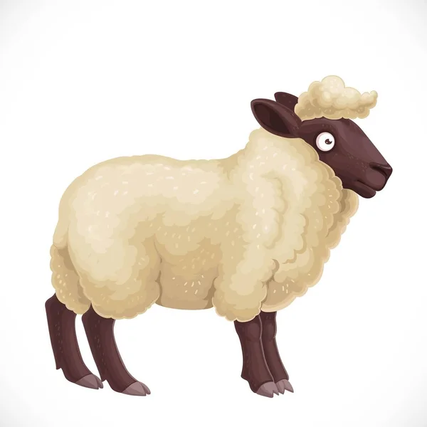 Niedliche Dunkle Pelzige Schafe Mit Heller Wolle Isoliert Auf Weißem — Stockvektor