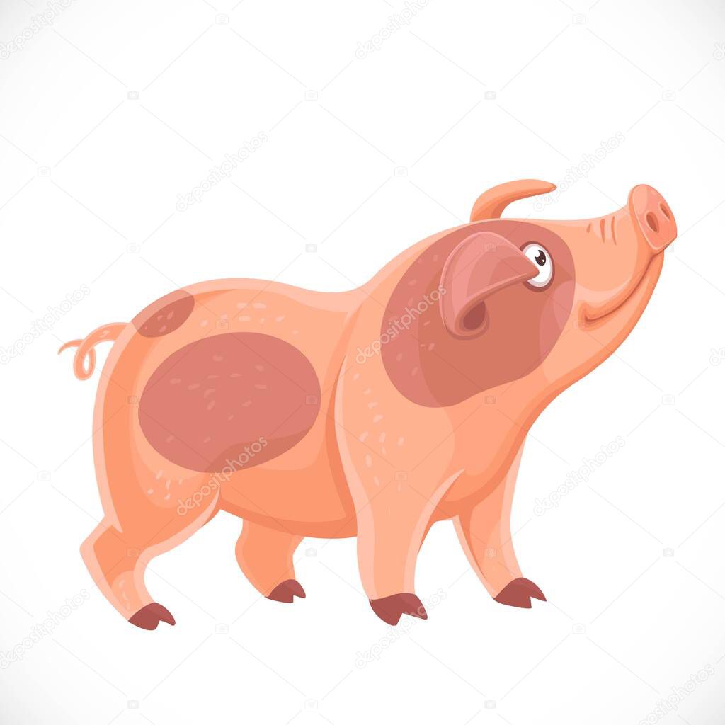 Cute cartoon spotted pig pulled up the face up farm animal isolated on a white background