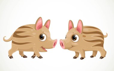 Two cute little wild pigs isolated on a white background clipart