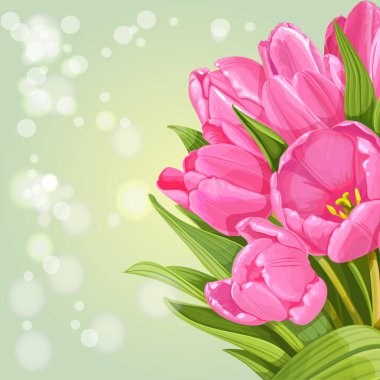 Pembe lalelerin arka planı