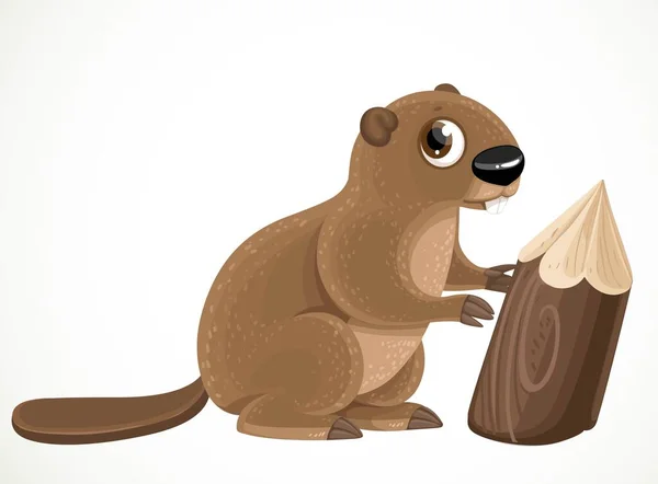 Cute Cartoon Beaver Isolated White Background — Stock Vector