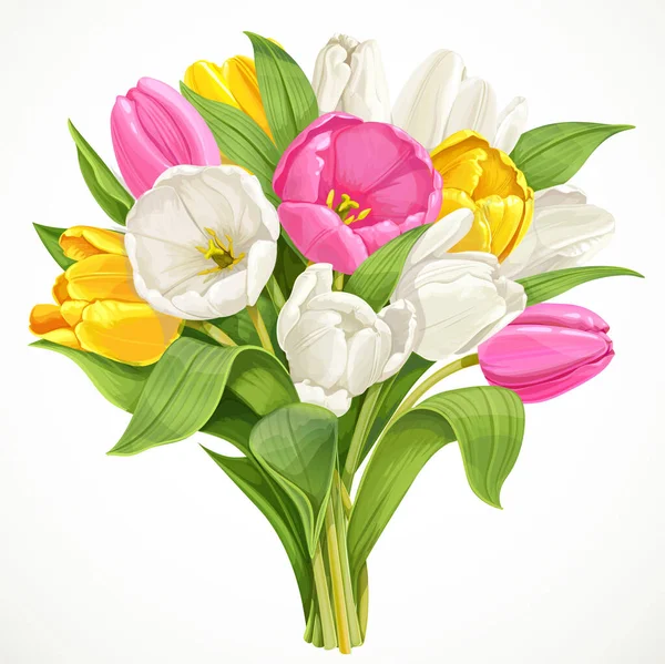 Bouquet White Tulips Isolated White Background — Stock Vector