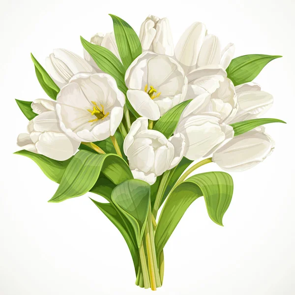 Strauß Weißer Tulpen Auf Weißem Hintergrund — Stockvektor