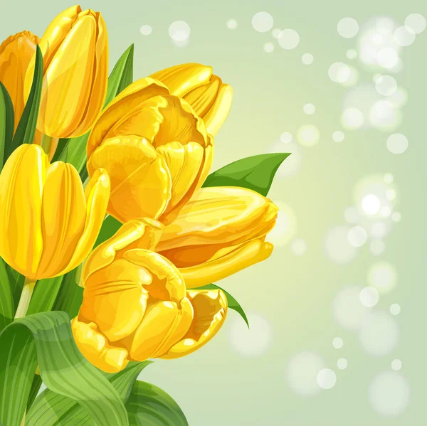 Spring Background Bouquet Yellow Tulips — Stock Vector