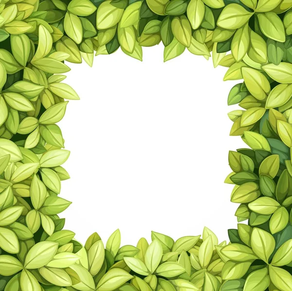 Grüner Dekorativer Rahmen Aus Länglichen Blättern Auf Weißem Hintergrund — Stockvektor