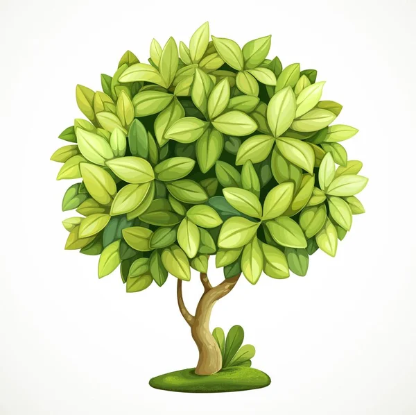 Árbol Pequeño Decorativo Verde Aislado Sobre Fondo Blanco — Vector de stock