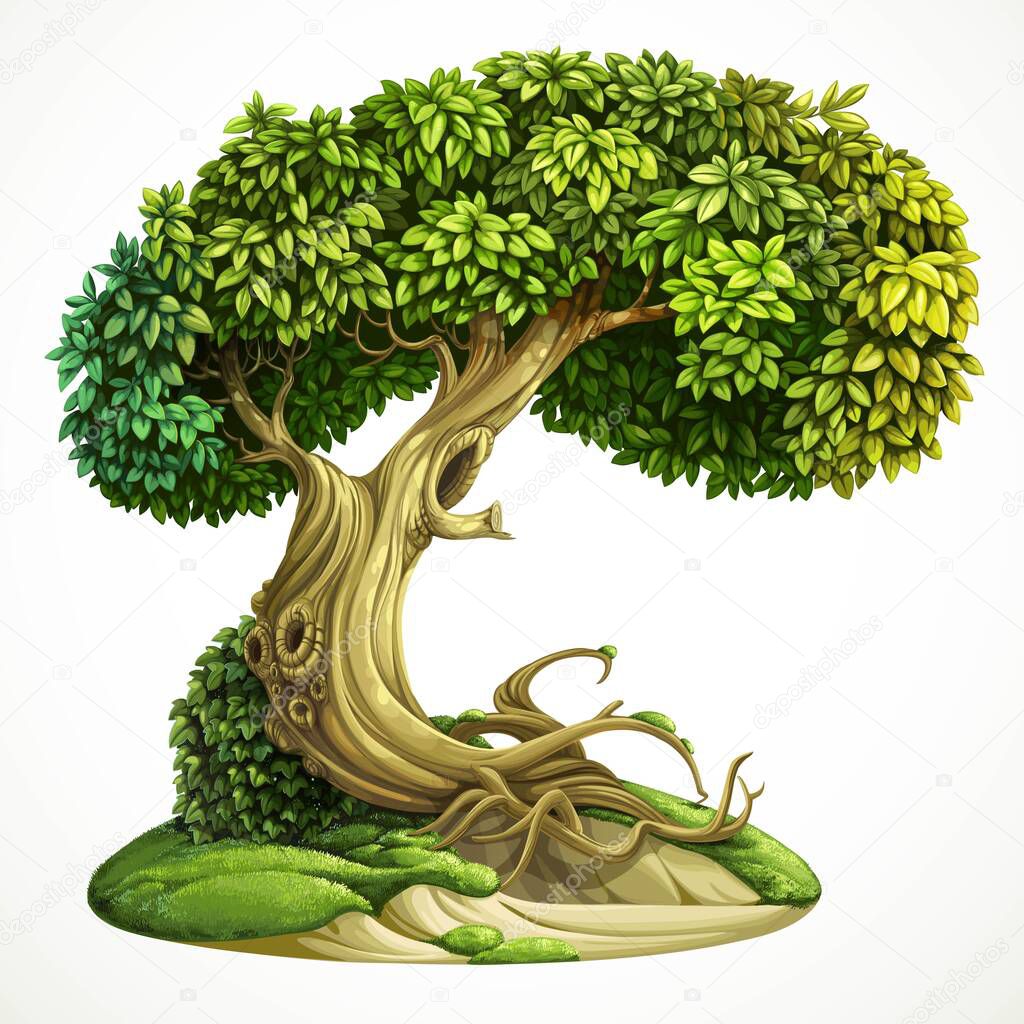 Old fairy ivy-covered deciduous tree on the hill with moss. Detailed vector illustration isolated on white background