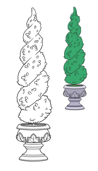Arbusto Adornado Con Figuras Color Maceta Jardín Delineado Para Colorear — Archivo Imágenes Vectoriales