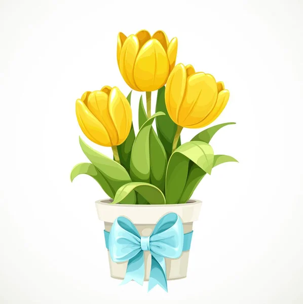 Flores Amarelas Tulipa Crescendo Vaso Branco Com Arco Azul Isolado — Vetor de Stock