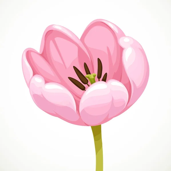 Beautiful Pink Tulip Flower Isolated White Background — Stock Vector