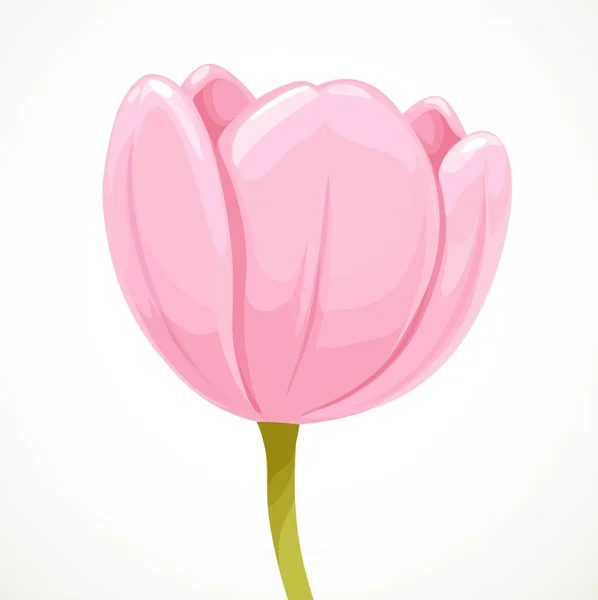 Flor Tulipa Rosa Perfil Isolado Fundo Branco — Vetor de Stock