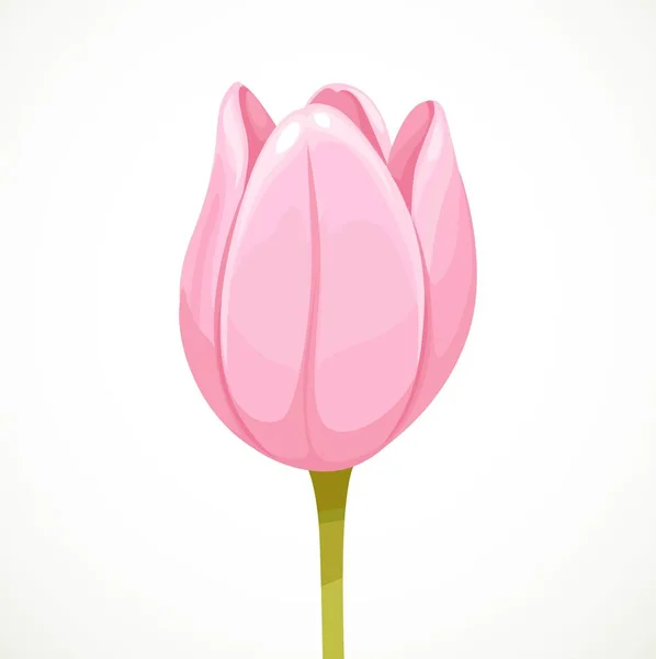 Fiore Tulipano Rosa Bocciolo Quasi Aperto Isolato Sfondo Bianco — Vettoriale Stock