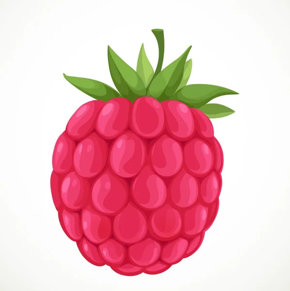 Red Raspberry Diisolasi Latar Belakang Putih - Stok Vektor