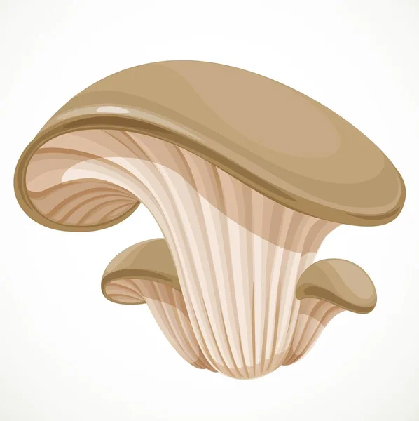 Little Oyster Mushroom Isolated White Background — Stock Vector